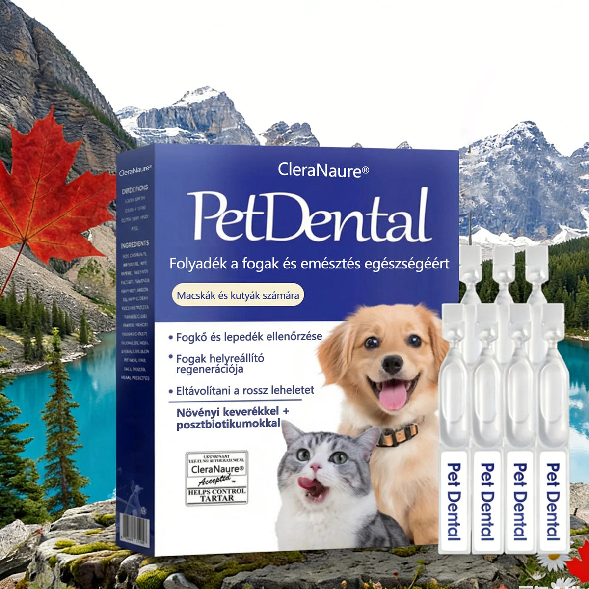 🥇[Hivatalos áruház] CleraNaure® Pet Dental & Digestive Health Oral Liquid – Frissíti a leheletet, eltávolítja a fogkövet, elősegíti az íny regenerálódását és stabilizálja a fogakat (macskák és kutyák számára) – Ma 80% kedvezménnyel!-🔥
