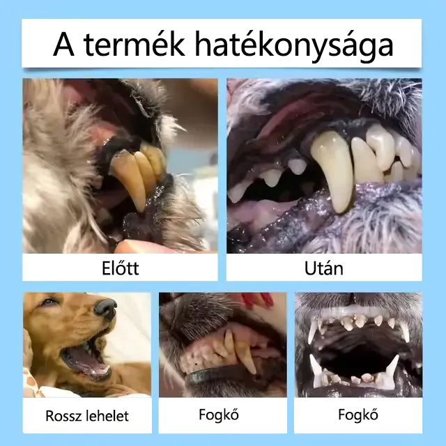 🥇[Hivatalos áruház] CleraNaure® Pet Dental & Digestive Health Oral Liquid – Frissíti a leheletet, eltávolítja a fogkövet, elősegíti az íny regenerálódását és stabilizálja a fogakat (macskák és kutyák számára) – Ma 80% kedvezménnyel!-🔥
